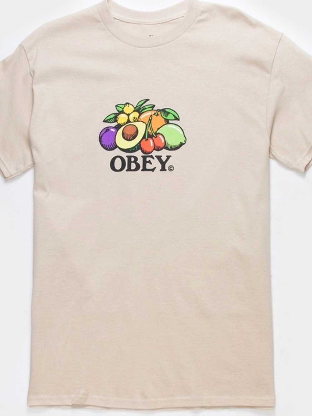 OBEY L  Fruit Bowl Mens Tee in cream oat color